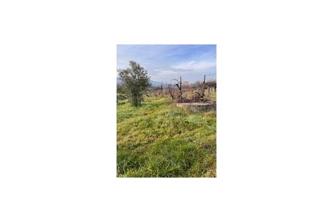 Terra a Ferro, Castelo Branco, Ferro - € 43.000 | Ref: SÒL_263 - foto 3