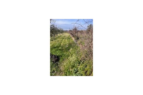 Terra a Ferro, Castelo Branco, Ferro - € 43.000 | Ref: SÒL_263 - foto 4