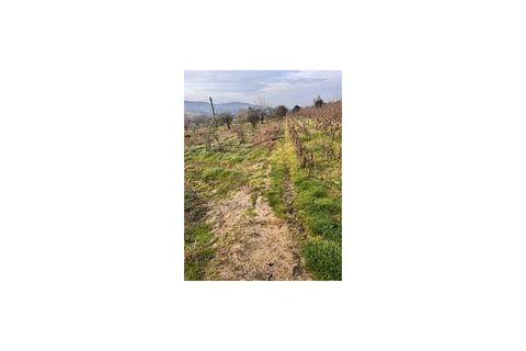 Terra a Ferro, Castelo Branco, Ferro - € 43.000 | Ref: SÒL_263 - foto 5