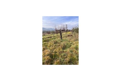 Terra a Ferro, Castelo Branco, Ferro - € 43.000 | Ref: SÒL_263 - foto 6