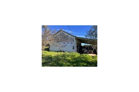 Terra a Ferro, Castelo Branco, Ferro - € 43.000 | Ref: SÒL_263 - foto 15