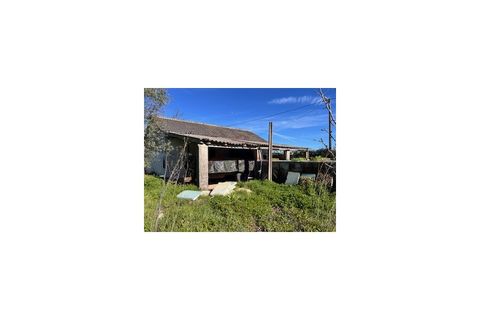 Terra a Ferro, Castelo Branco, Ferro - € 43.000 | Ref: SÒL_263 - foto 17