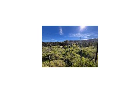 Terra a Ferro, Castelo Branco, Ferro - € 43.000 | Ref: SÒL_263 - foto 18