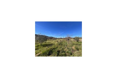 Terra a Ferro, Castelo Branco, Ferro - € 43.000 | Ref: SÒL_263 - foto 19