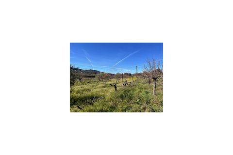 Terra a Ferro, Castelo Branco, Ferro - € 43.000 | Ref: SÒL_263 - foto 20
