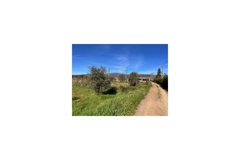 Terra a Ferro, Castelo Branco, Ferro - € 43.000 | Ref: SÒL_263 - foto 22