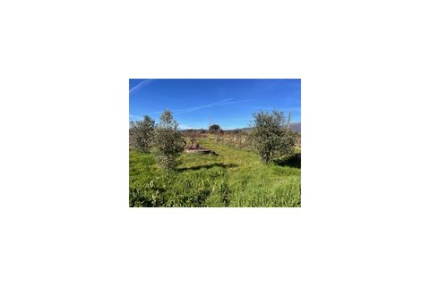 Terra a Ferro, Castelo Branco, Ferro - € 43.000 | Ref: SÒL_263 - foto 23