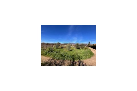 Terra a Ferro, Castelo Branco, Ferro - € 43.000 | Ref: SÒL_263 - foto 25