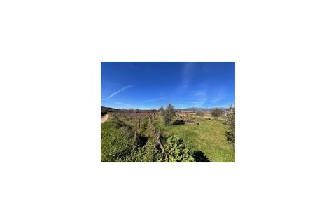Terra a Ferro, Castelo Branco, Ferro - € 43.000 | Ref: SÒL_263 - foto 26