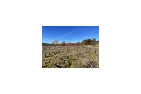 Terra a Ferro, Castelo Branco, Ferro - € 43.000 | Ref: SÒL_263 - foto 35