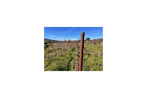 Terra a Ferro, Castelo Branco, Ferro - € 43.000 | Ref: SÒL_263 - foto 36