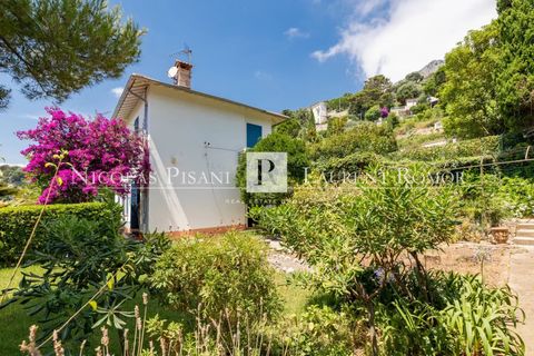 Villa i Cap-d'Ail, Alpes-Maritimes, Cap-d'Ail - € 12.700.000 | Ref: 85092719 VM P - foto 13