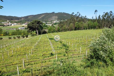 Rækkehus i Barcelos, Braga, Barcelos - € 420.000 | Ref: 8TC3836 - foto 11