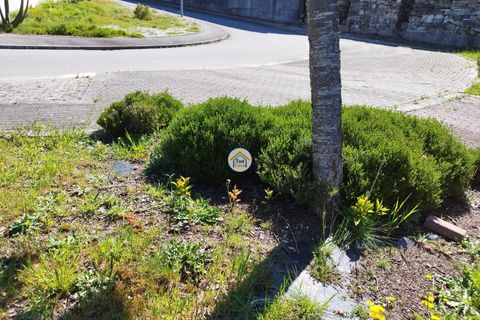 Rækkehus i Barcelos, Braga, Barcelos - € 420.000 | Ref: 8TC3836 - foto 13