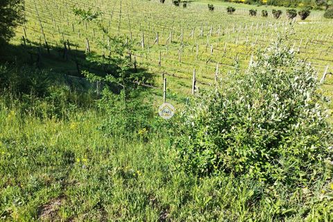 Rækkehus i Barcelos, Braga, Barcelos - € 420.000 | Ref: 8TC3836 - foto 16