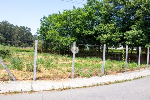 Helårsgrund i Espinho, Aveiro, Espinho - € 263.700 | Ref: 5TC3834 - foto 5