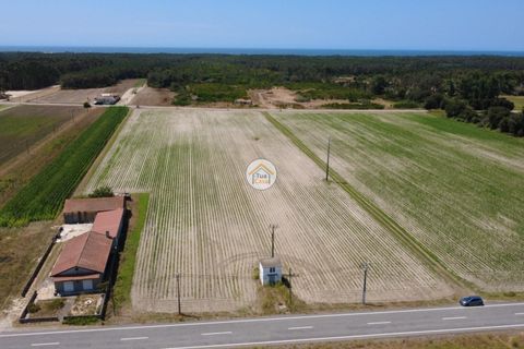 Helårsgrund i Ovar, Aveiro, Ovar - € 810.250 | Ref: 5TC3830 - foto 1