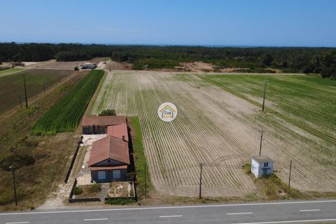 Helårsgrund i Ovar, Aveiro, Ovar - € 810.250 | Ref: 5TC3830 - foto 9