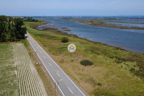 Helårsgrund i Ovar, Aveiro, Ovar - € 810.250 | Ref: 5TC3830 - foto 13