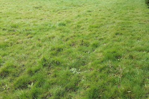 Helårsgrund i Sainte-Helene, Morbihan, Sainte-Helene - € 131.000 | Ref: 189818 - foto 1
