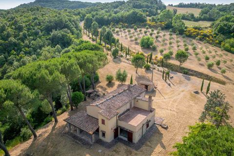 Farm hus i Bibbona, Livorno, Bibbona - € 1.150.000 | Ref: a3165ta2487573a - foto 9