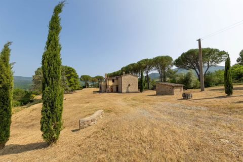 Farm hus i Bibbona, Livorno, Bibbona - € 1.150.000 | Ref: a3165ta2487573a - foto 12