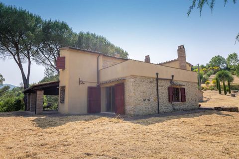 Farm hus i Bibbona, Livorno, Bibbona - € 1.150.000 | Ref: a3165ta2487573a - foto 15