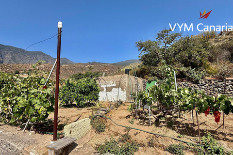 Finca i Guimar, Tenerife, Guimar - € 350.000 | Ref: VS5143VJA - foto 7