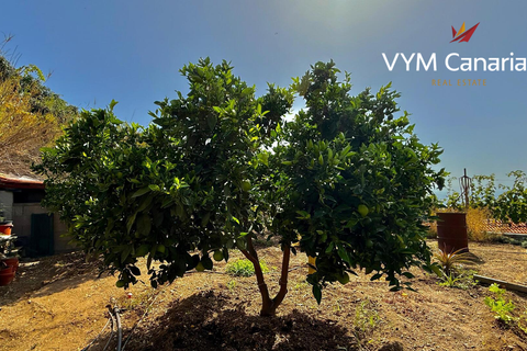 Finca i Guimar, Tenerife, Guimar - € 350.000 | Ref: VS5143VJA - foto 8