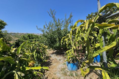 Villa i Casares, Malaga, Casares - € 479.000 | Ref: R5116900 - foto 5