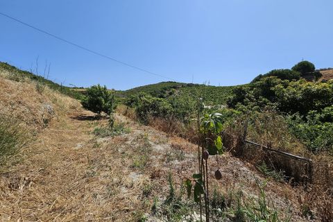 Villa i Casares, Malaga, Casares - € 479.000 | Ref: R5116900 - foto 18