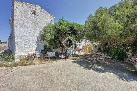 Herregård i Alaior, Menorca, Alaior - € 3 600 000 | Ref: MEN61737 - foto 7