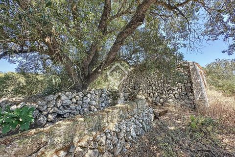 Herregård i Alaior, Menorca, Alaior - € 3 600 000 | Ref: MEN61737 - foto 49
