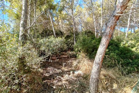 Terra a Sol De Mallorca, Mallorca, Sol De Mallorca - € 965.000 | Ref: KPO01352 - foto 6