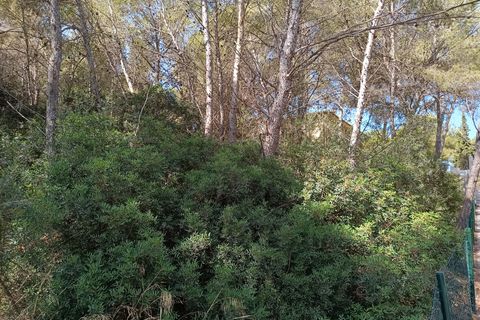 Terra a Sol De Mallorca, Mallorca, Sol De Mallorca - € 965.000 | Ref: KPO01352 - foto 7