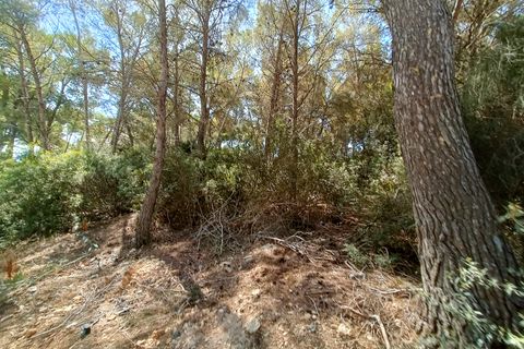 Terra a Sol De Mallorca, Mallorca, Sol De Mallorca - € 965.000 | Ref: KPO01352 - foto 8