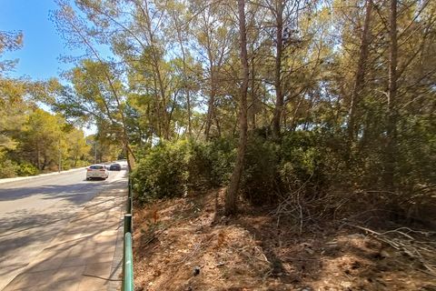 Terra a Sol De Mallorca, Mallorca, Sol De Mallorca - € 965.000 | Ref: KPO01352 - foto 9