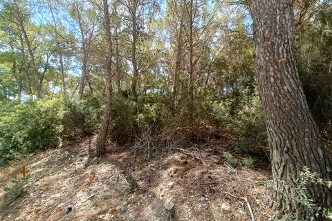 Terra a Sol De Mallorca, Mallorca, Sol De Mallorca - € 965.000 | Ref: KPO01352 - foto 10