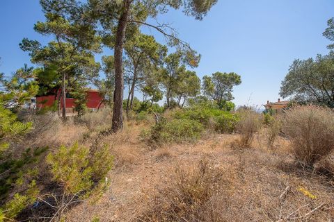 Helårsgrund i Cala Vinyes, Mallorca, Cala Vinyes - € 1.100.000 | Ref: KPO01280 - foto 9