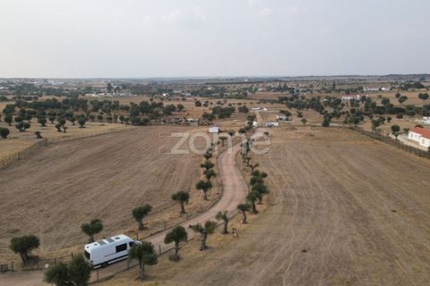 Villa a Arraiolos, Evora, Arraiolos - € 1.100.000 | Ref: ZMPT579049 - foto 23