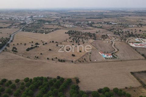 Villa a Arraiolos, Evora, Arraiolos - € 1.100.000 | Ref: ZMPT579049 - foto 24
