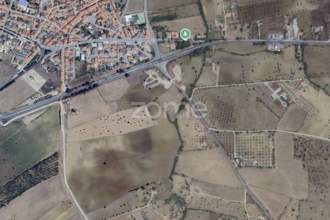 Villa a Arraiolos, Evora, Arraiolos - € 1.100.000 | Ref: ZMPT579049 - foto 26