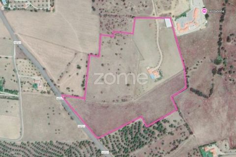 Villa a Arraiolos, Evora, Arraiolos - € 1.100.000 | Ref: ZMPT579049 - foto 30