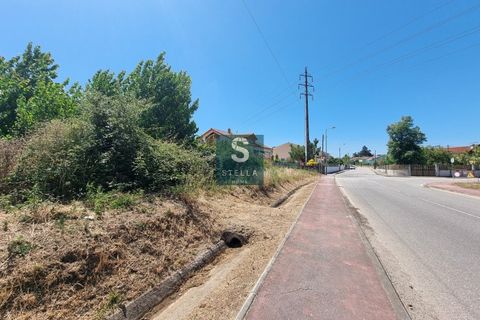 Helårsgrund i Anadia, Aveiro, Anadia - € 77.000 | Ref: SH0051-2025 - foto 3