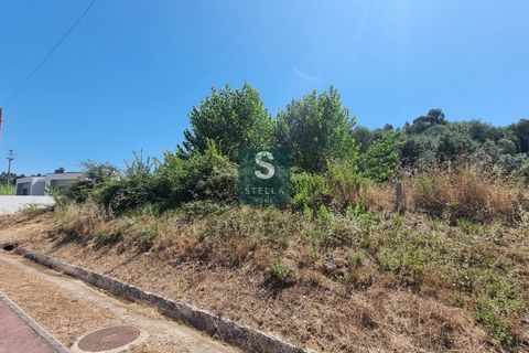 Helårsgrund i Anadia, Aveiro, Anadia - € 77.000 | Ref: SH0051-2025 - foto 4