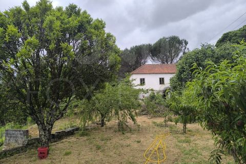 Villa i Viana do Castelo, Viana do Castelo, Viana do Castelo - € 450.000 | Ref: F1-06-23 - foto 8