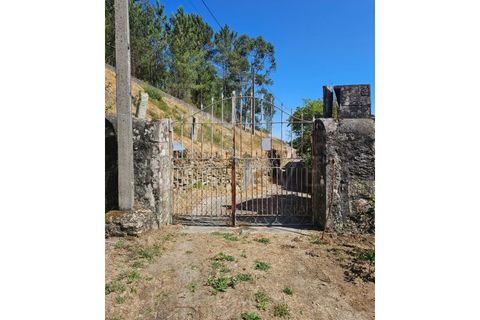 Villa i Viana do Castelo, Viana do Castelo, Viana do Castelo - € 450.000 | Ref: F1-06-23 - foto 27