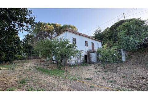 Villa i Viana do Castelo, Viana do Castelo, Viana do Castelo - € 450.000 | Ref: F1-06-23 - foto 2