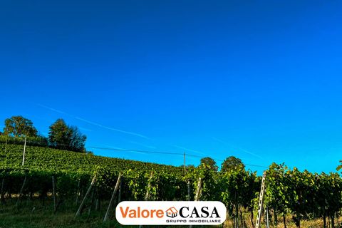 Villa a Maranzana, Asti, Maranzana - € 390.000 | Ref: 86114150 - foto 3