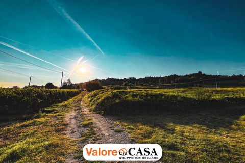 Villa a Maranzana, Asti, Maranzana - € 390.000 | Ref: 86114150 - foto 19